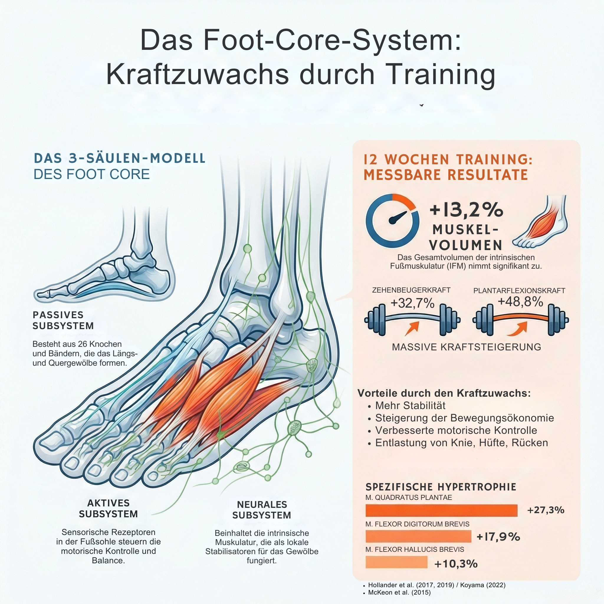 Illustration: das Foot-Core-System des Fußes